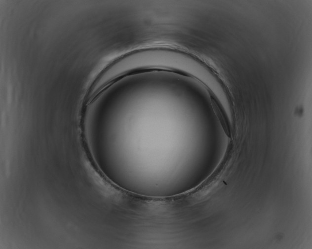 X0000091211422200708231556