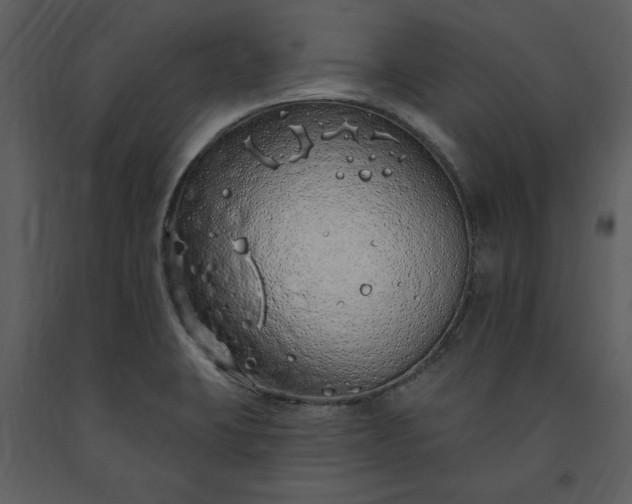 X0000091211423200708231556
