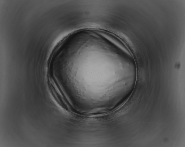 X0000091211424200708231556