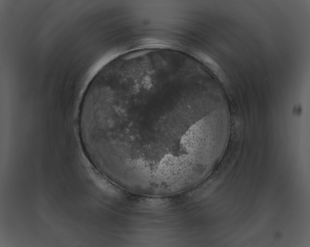 X0000091211427200708231556