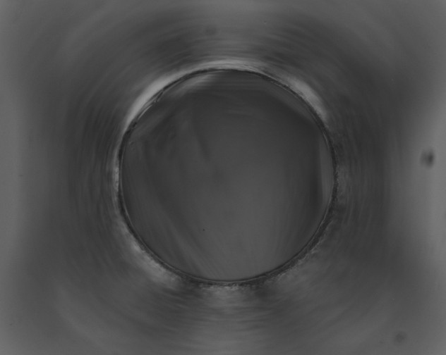 X0000091211428200708231556