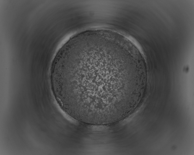 X0000091211429200708231556