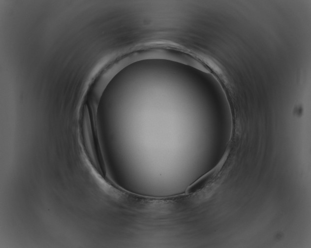 X0000091211430200708231556