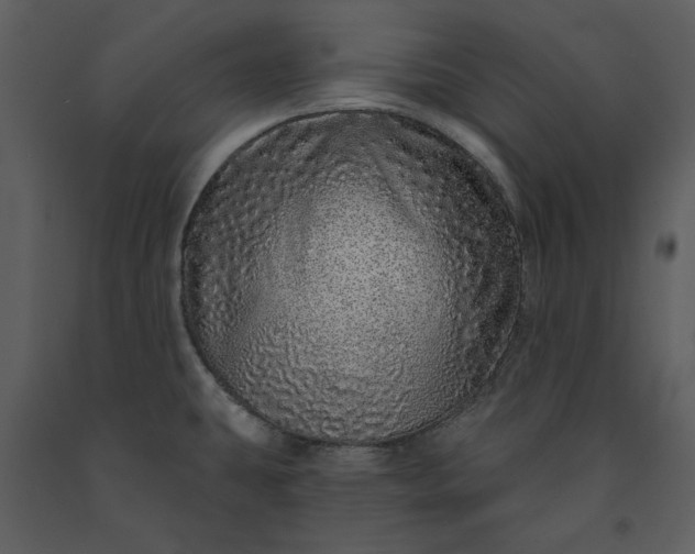 X0000091211431200708231556