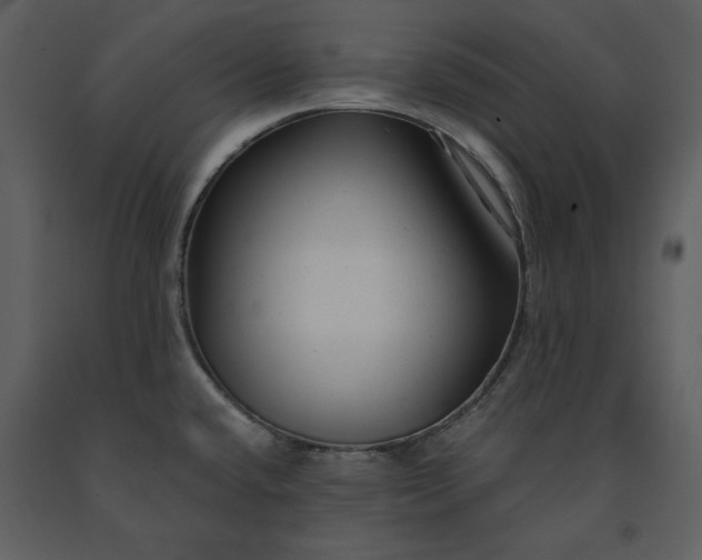 X0000091211432200708231556
