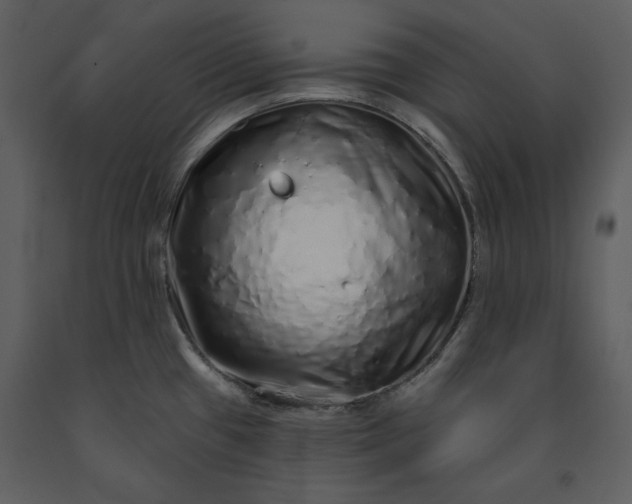 X0000091211433200708231557