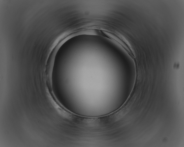 X0000091211434200708231557