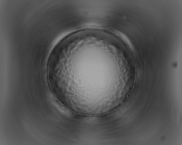 X0000091211435200708231557