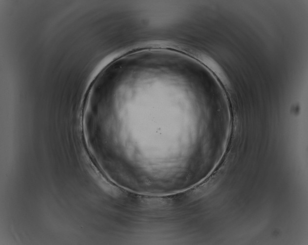 X0000091211436200708231557