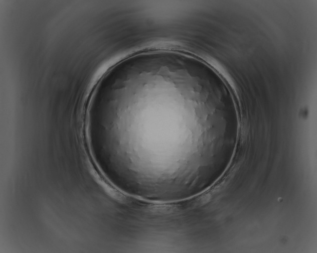 X0000091211437200708231557