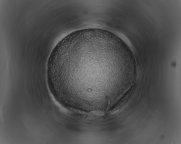 X0000091211439200708231557