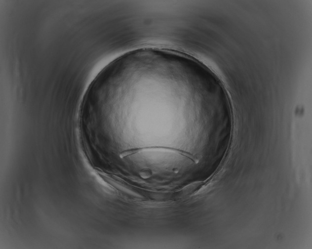 X0000091211440200708231557