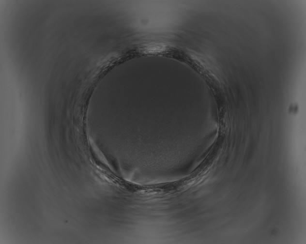 X0000091211441200708231556