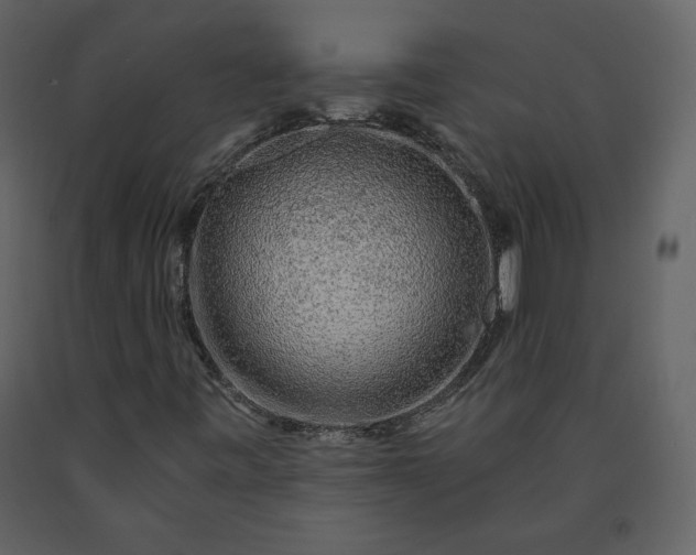 X0000091211443200708231556