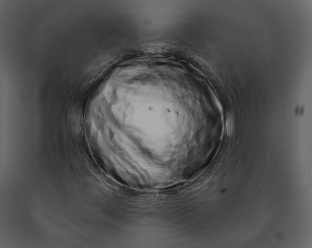 X0000091211444200708231556
