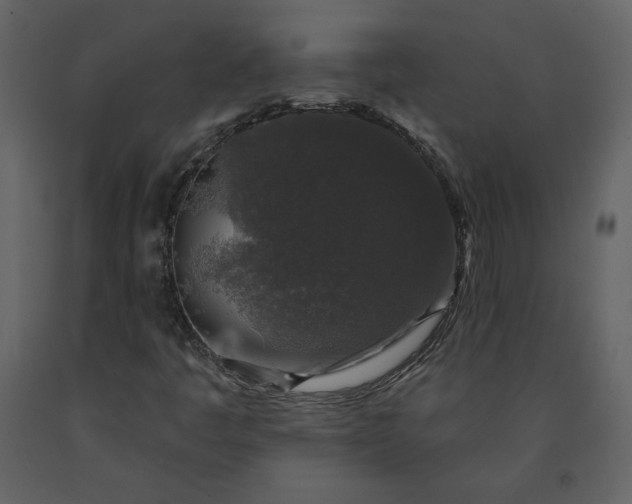X0000091211445200708231556