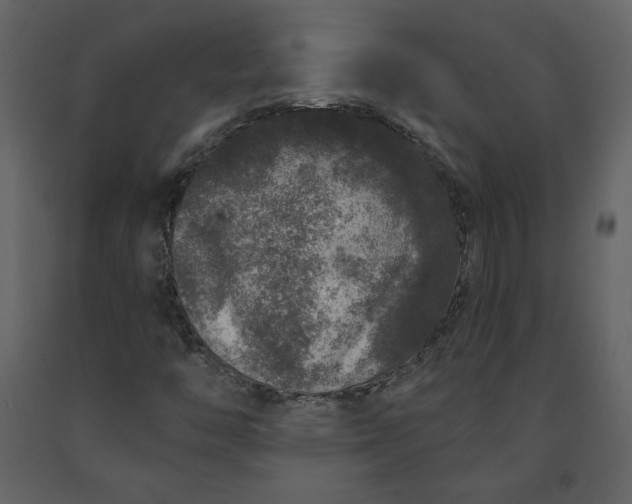 X0000091211446200708231556