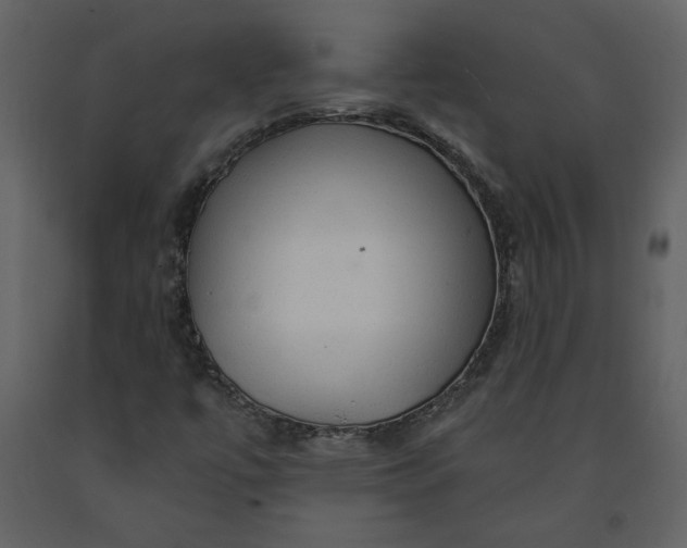 X0000091211447200708231556