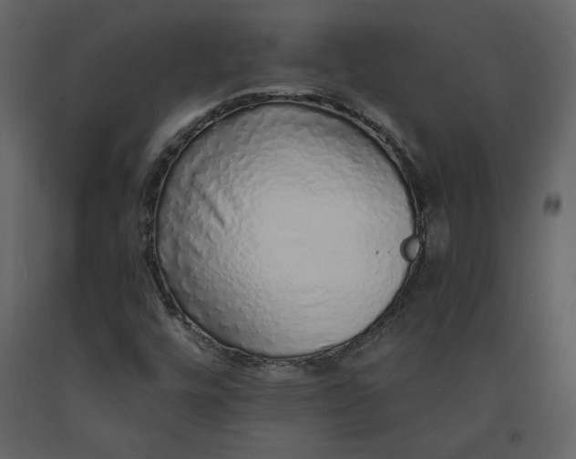 X0000091211448200708231556