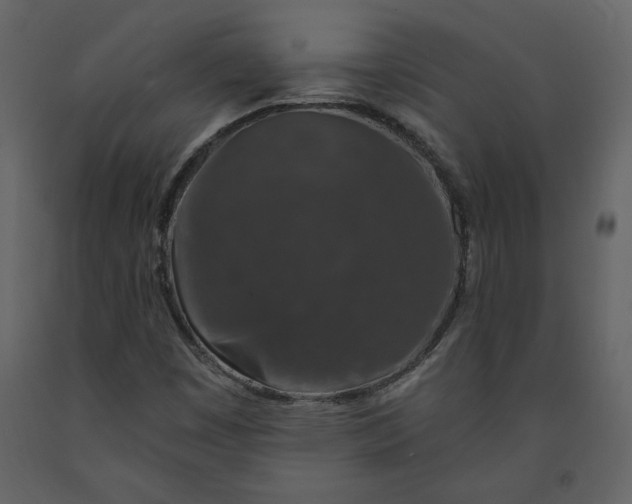 X0000091211449200708231556