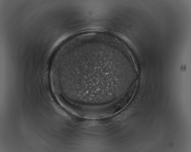 X0000091211450200708231556