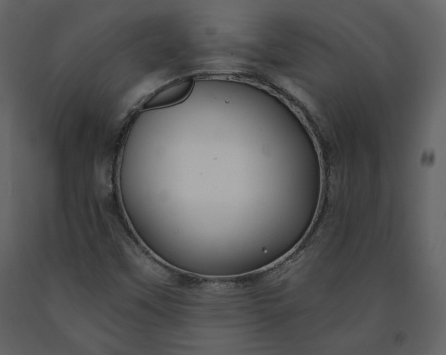 X0000091211451200708231556