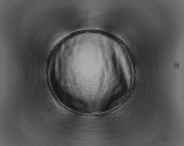 X0000091211452200708231556