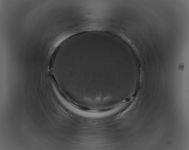 X0000091211453200708231556