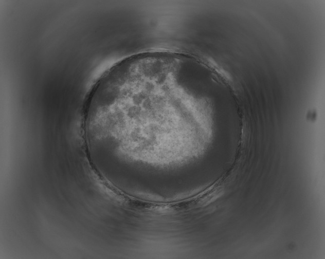 X0000091211454200708231556