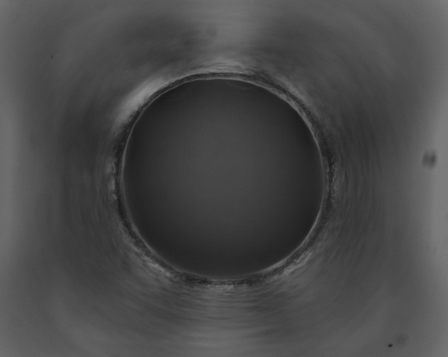 X0000091211455200708231556