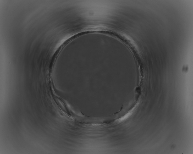 X0000091211457200708231556