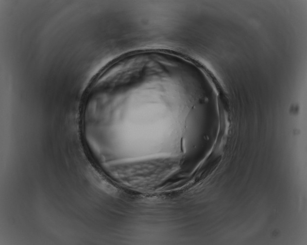 X0000091211460200708231556