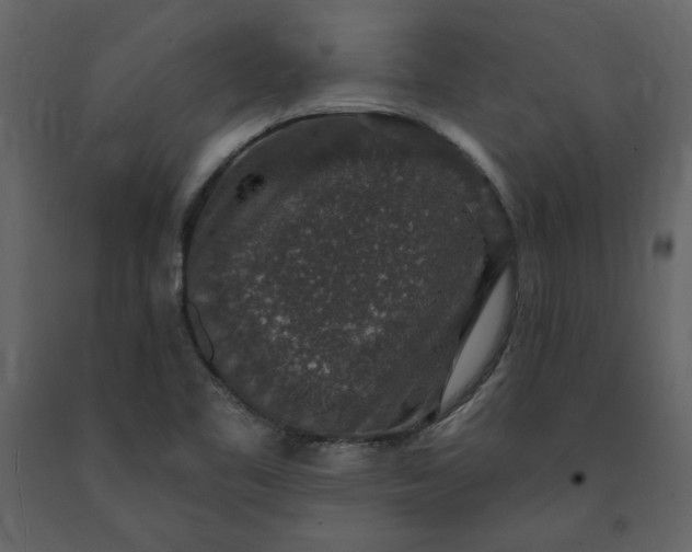 X0000091211461200708231555