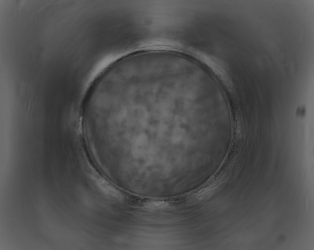 X0000091211462200708231555