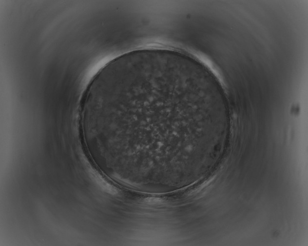 X0000091211463200708231555