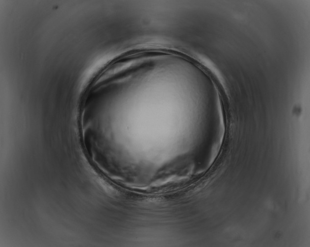 X0000091211464200708231555