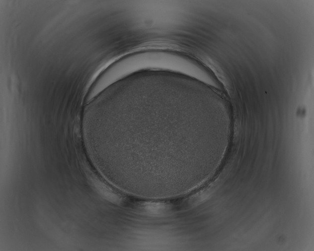 X0000091211465200708231555