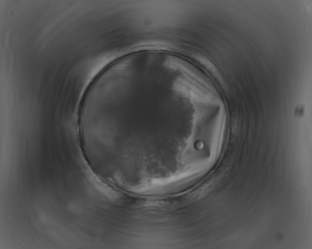 X0000091211466200708231555