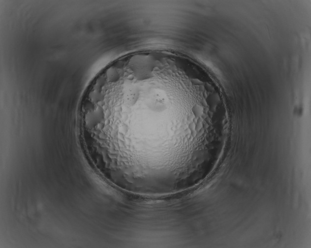 X0000091211467200708231555