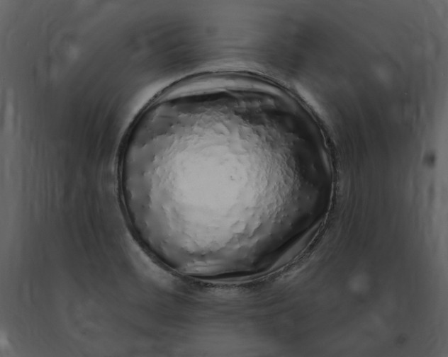 X0000091211468200708231555