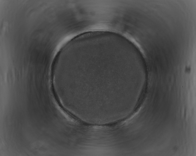 X0000091211469200708231555