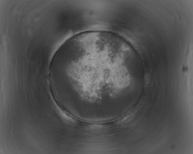 X0000091211470200708231555