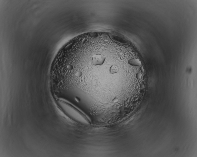 X0000091211471200708231555