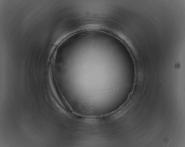 X0000091211473200708231555