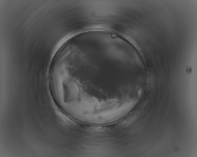 X0000091211474200708231555
