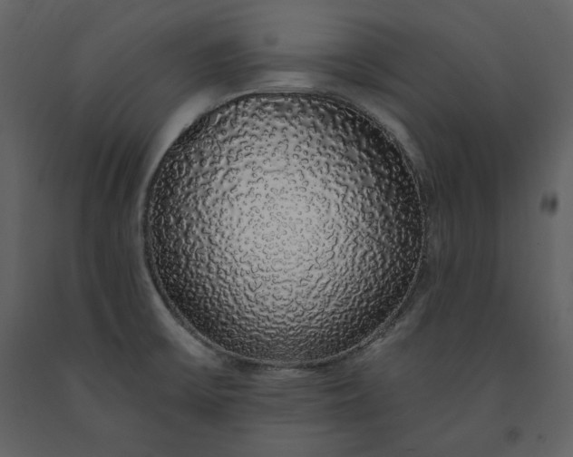 X0000091211475200708231555