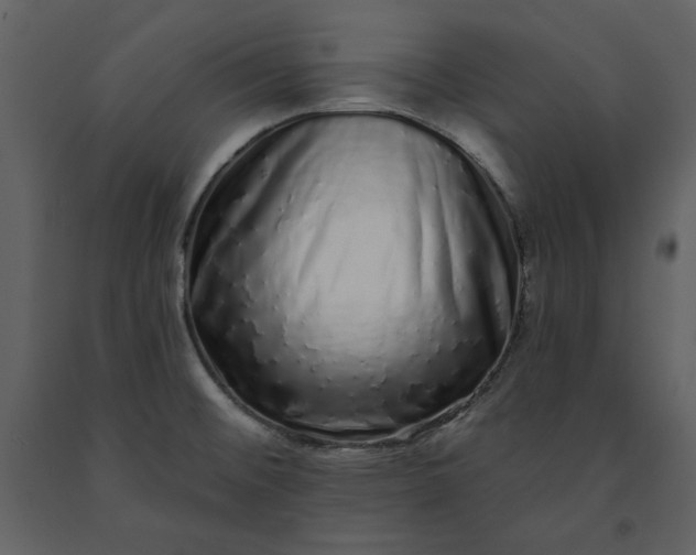 X0000091211476200708231555