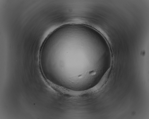 X0000091211477200708231555