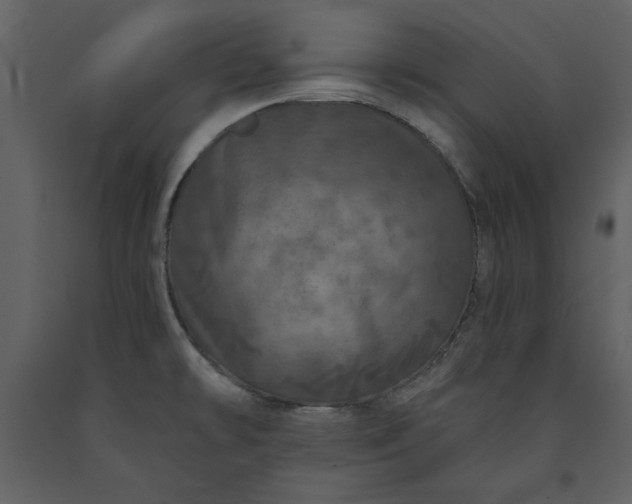 X0000091211478200708231555