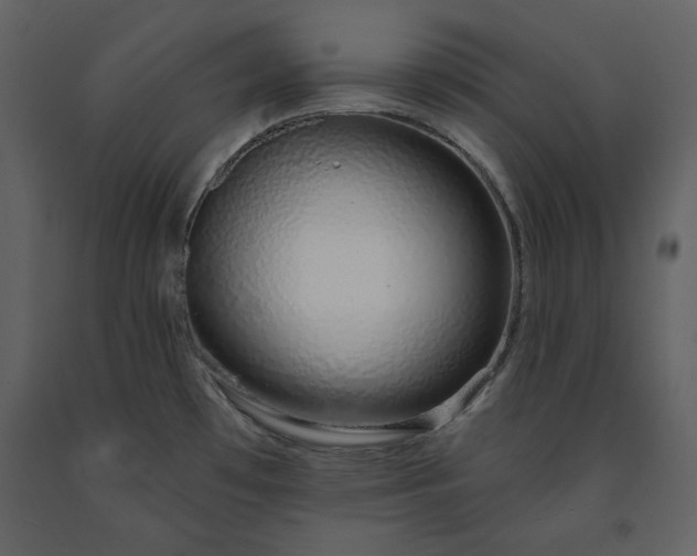X0000091211481200708231555